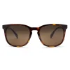 Daytripper - Polarized Poly Lens