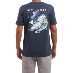 Goione Sailfish