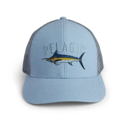 Marlin Species