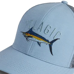 Marlin Species